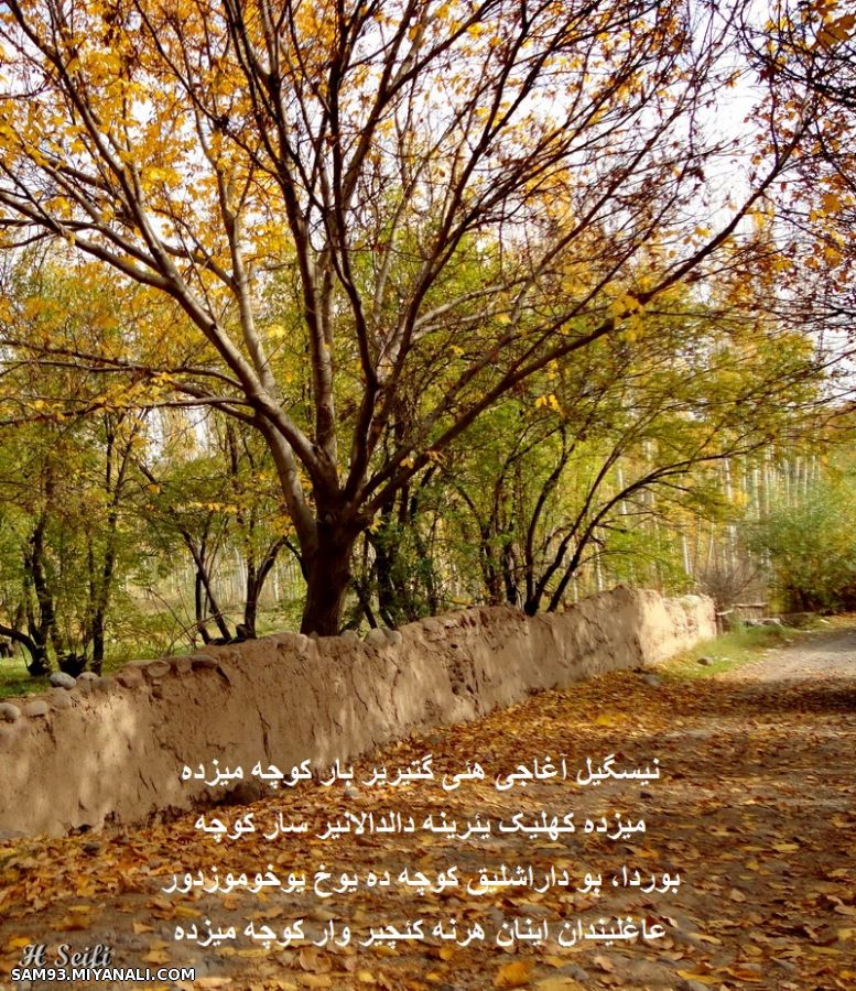 کوچه پاییز