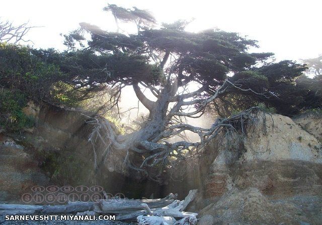 حال و روز الان آدم ها برای زنده ماندن ....