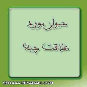 حیوان مورد علاقت؟