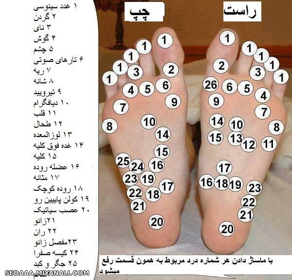 با ماساژ دادن هر شماره درد مربوط به همون قسمت رفع میشه