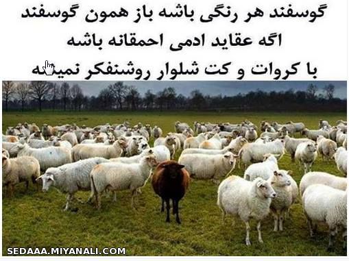 گوسفند هر رنگی باشد باز همون گوسفند ه ..........