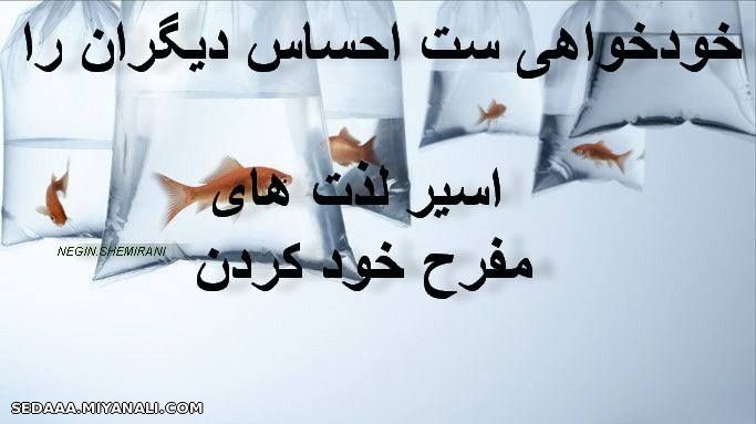 خود خواهی ستــــــــــــــــــ