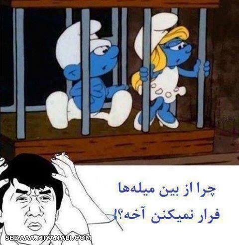 سوال شما هم بود؟