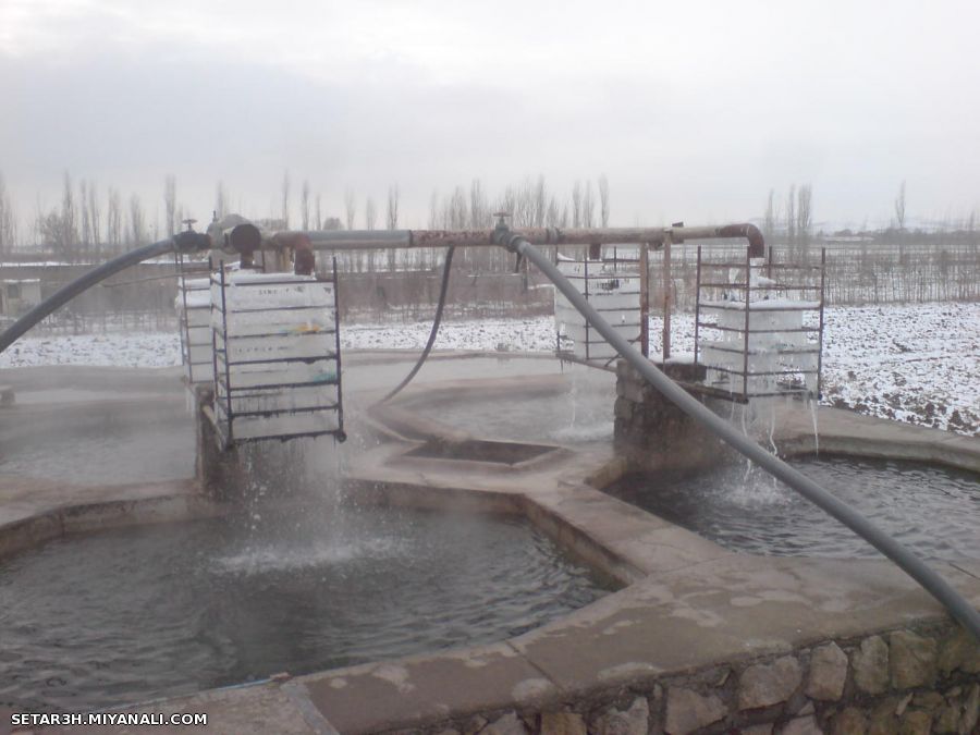 عکس از پرورش ماهی خودیم زمستان 1391