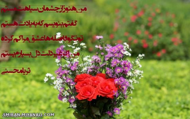 دلنوشته هایم