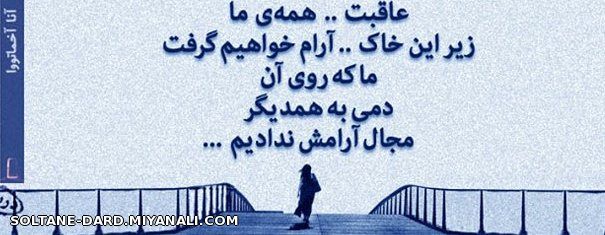 آخرین گرگ گله ...