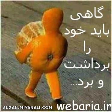 گاهی باید...