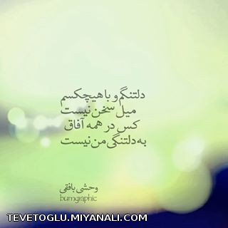 وحشی بافقی