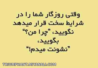 نشونت میدم....