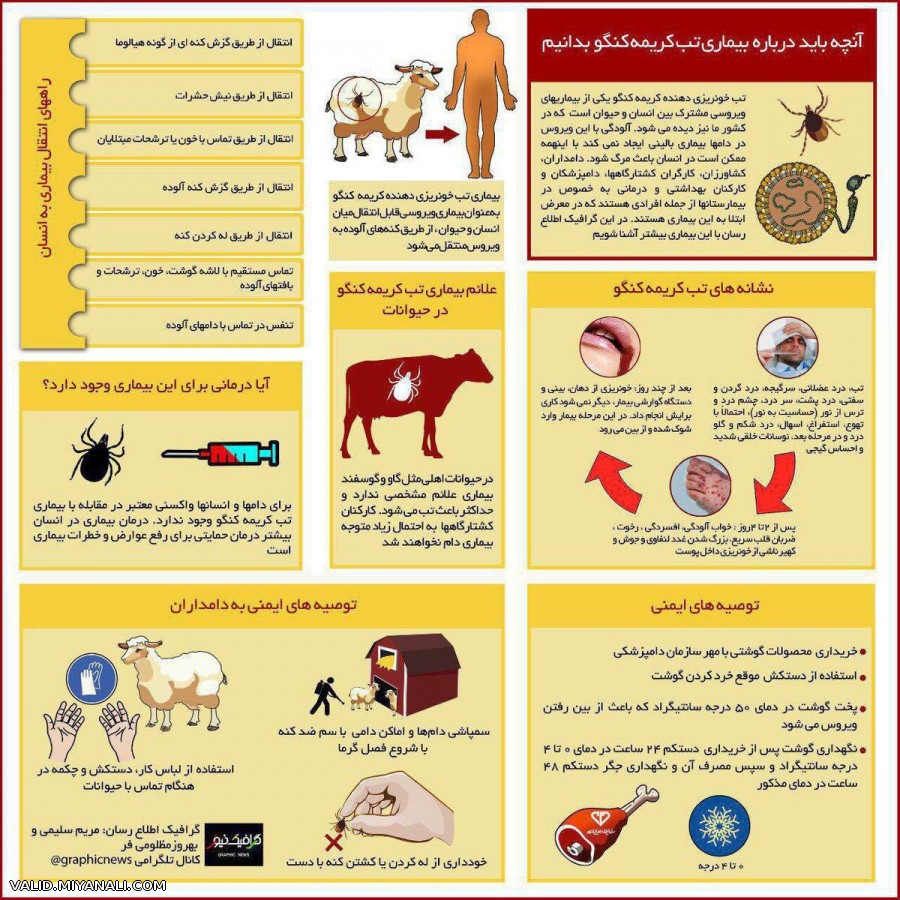  آنچه باید درباره بیماری تب کریمه کنگو بدانیم!  