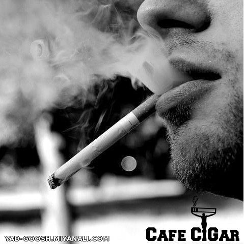 cigaret...... 