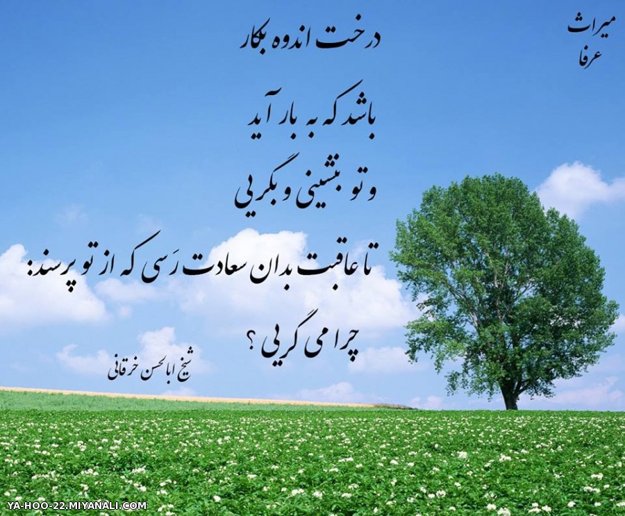 گریه راز سعادتمندی ...