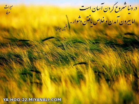 کارِ دنیا ...