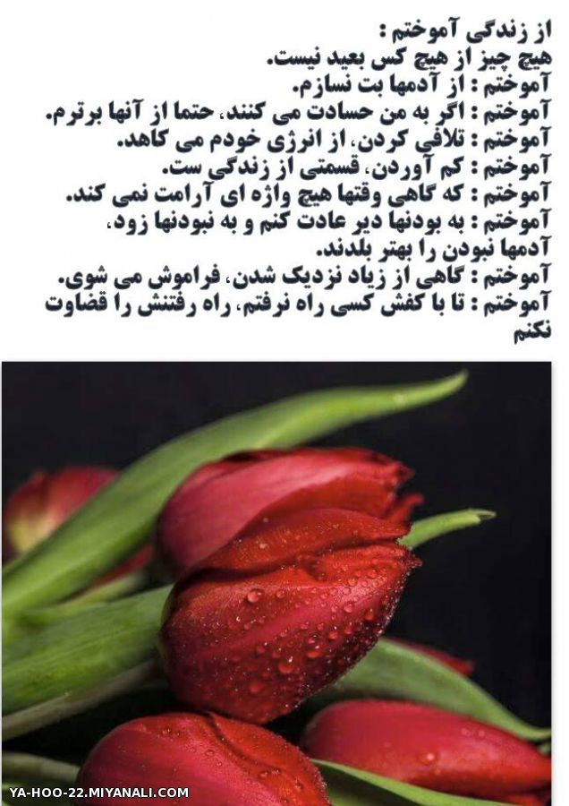 از زندگی آموختم