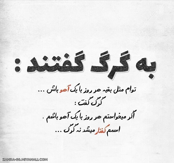 به گرگ گفتند