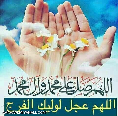 هرجمعه.یه جمله یه پست240_300_۳