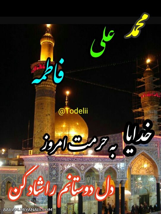 هرجمعه.یه جمله یه پست214