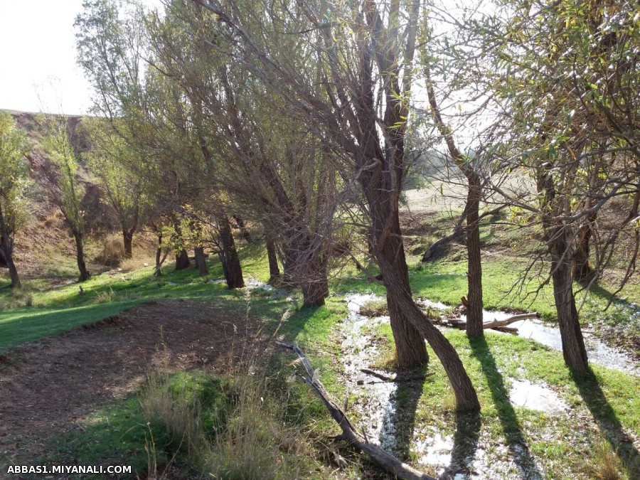 روستای آونلیق.داش دغرادان