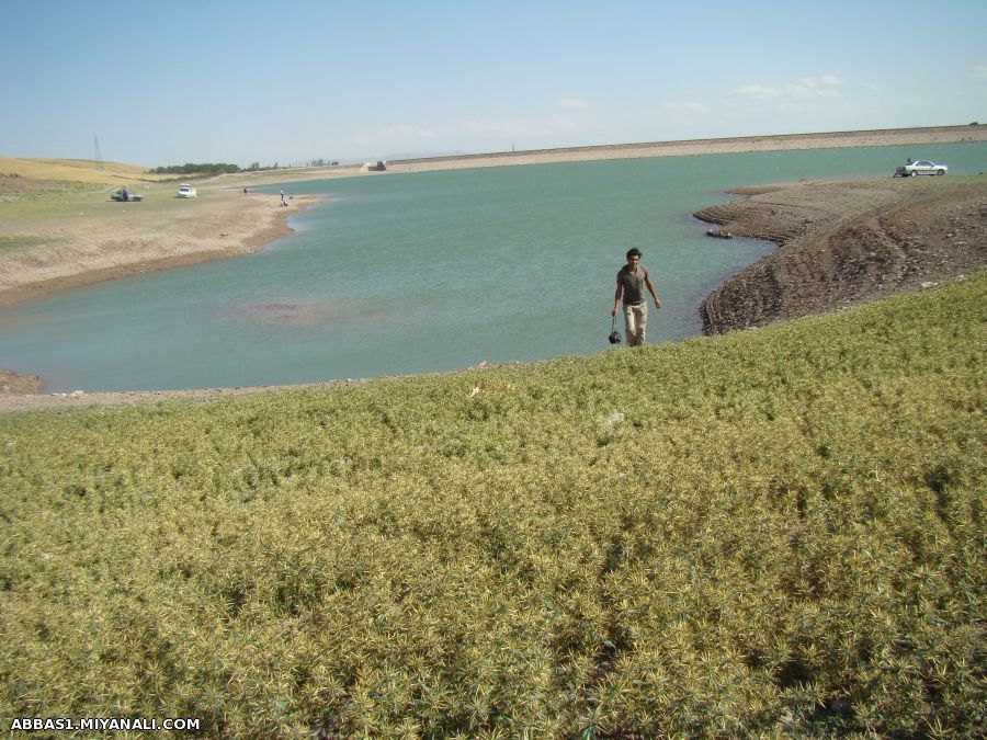 میانه(سد روستای کزرق-ابوالفضل میانجی آونلیق)