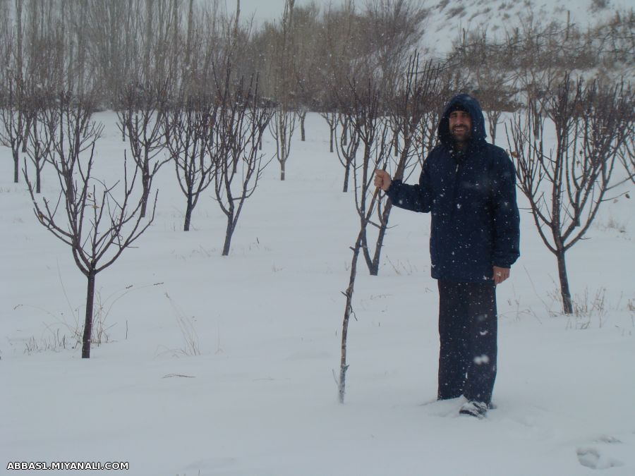 زمستان آونلیق