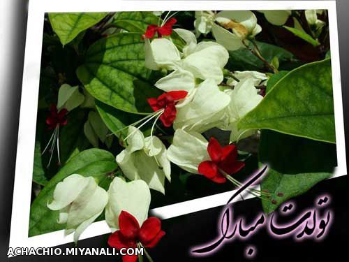 هدیه  از طرف یکی از بهترین های سایت 