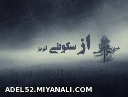 از سکوتی لبریز