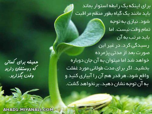 برای آنکه یک رابطه استوار بماند....