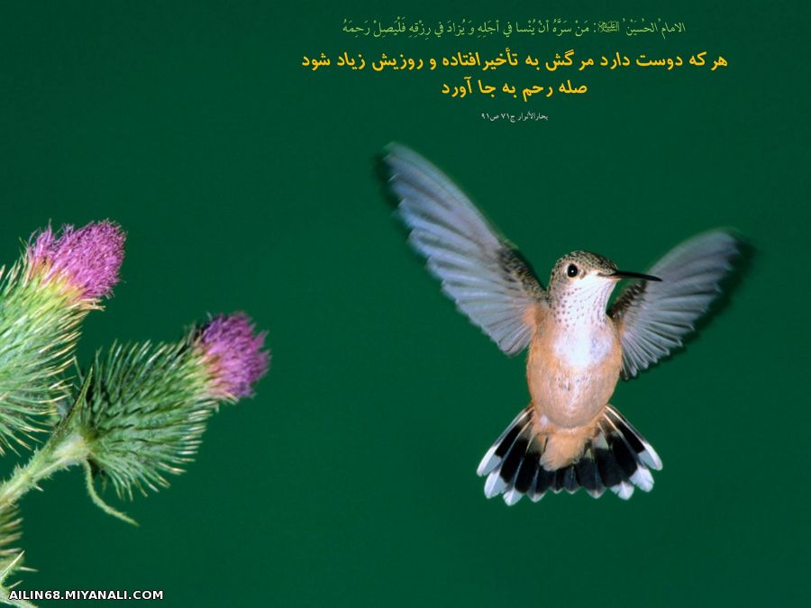 امام حسین(ع)... صله ی رحم...