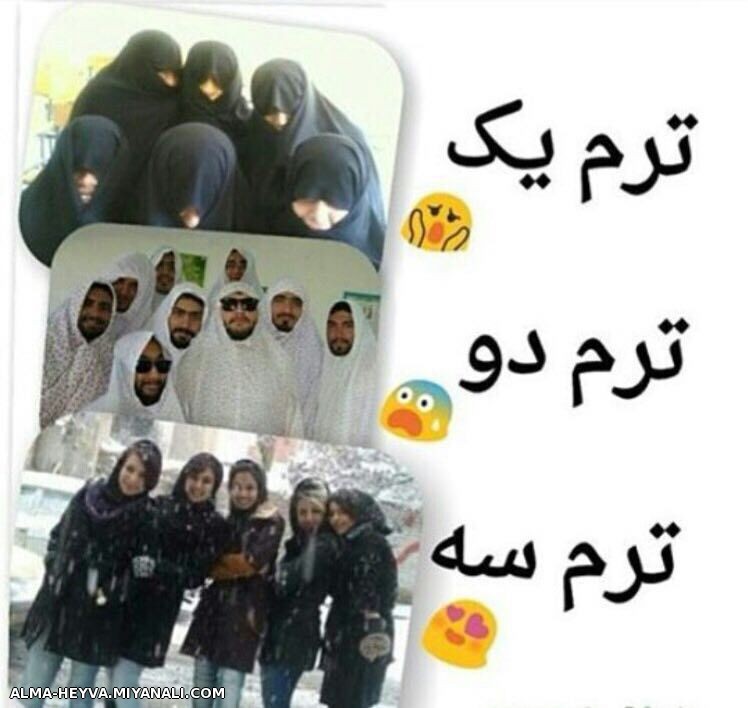 دانشگاه