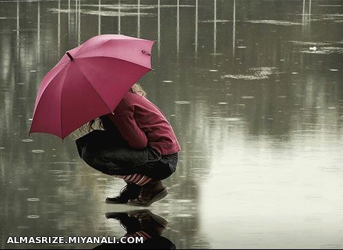 دیر باریدی باران ؛ دیر....!!! من مدتهاست در حجم نبودن کسی ،خشکیده ام...