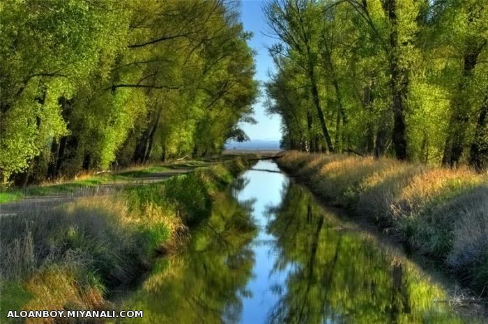 بچه ها بیاید این منظره رو ببینید...