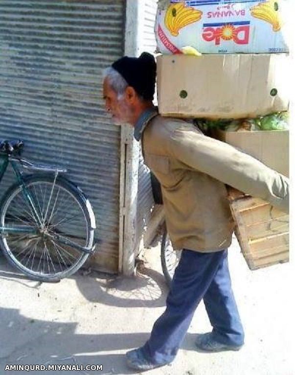 درد و بلات بخوره تو سر اونایی که