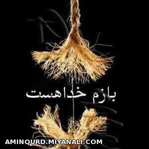 هر کی قبول داره لایکش کنه