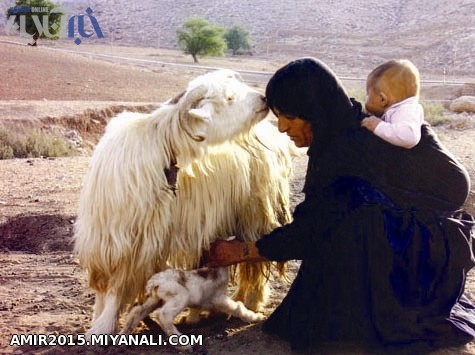 من عاشق این عکسسسم 