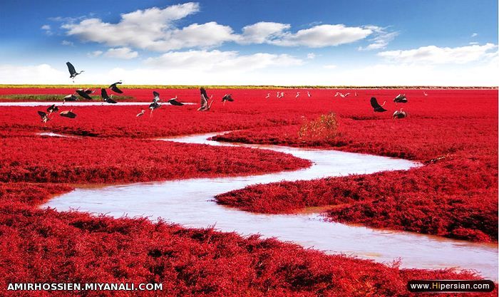 مکان باورنکرندنی روی زمین . . . !