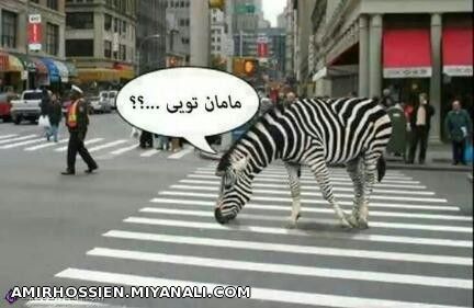 صــرفـــا جـهـتــ ... خـنـدهـ !!