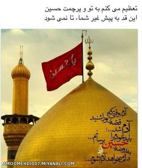 أنا مَجنون حُسین