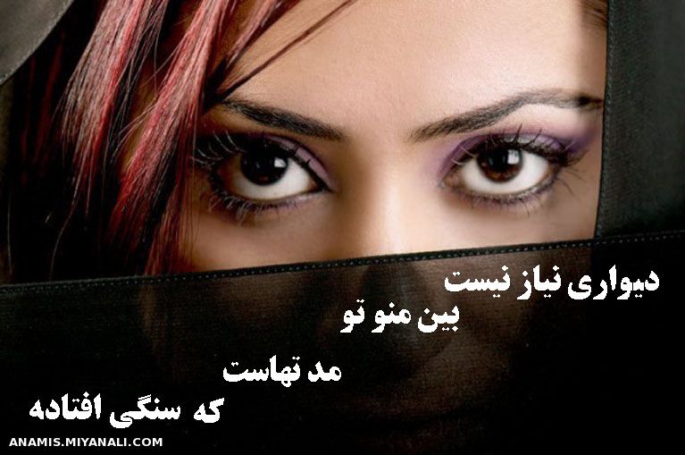 "می رسد روزی به گوشـت عاقبت