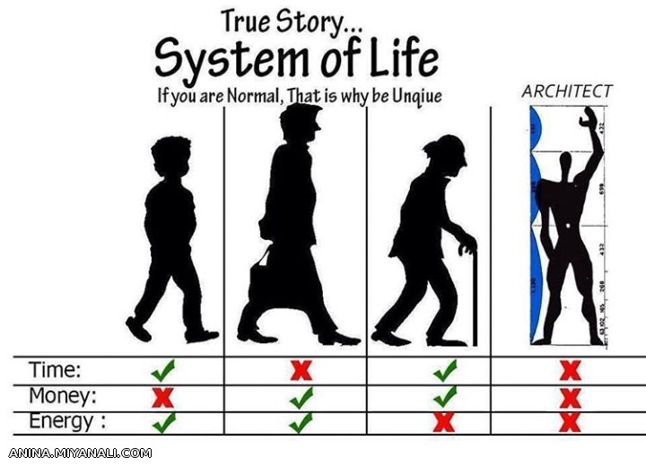 System oF Life