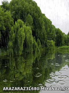 عنوان باران