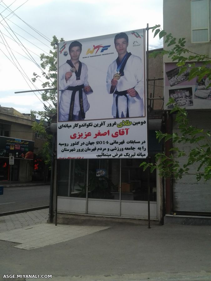 اصغر عزیزی دومین مدال طلای ایران در رقابتهای  قهرمانی تکواندو 2014 در روسیه به میزبانی مسکو را به گر