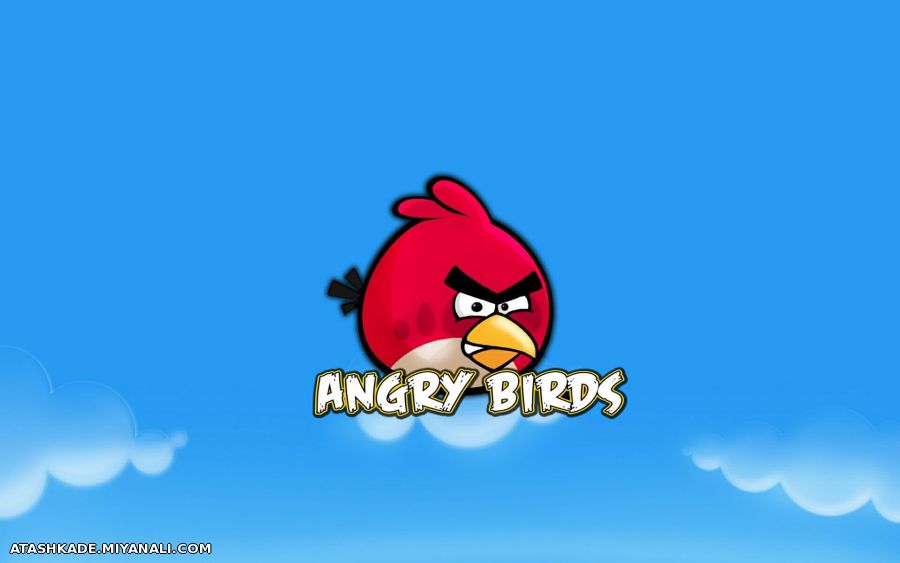 ANGRY BIRDS