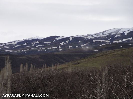 کسلانیم