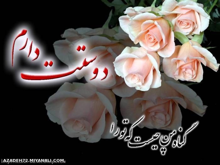 عاشقتم حسين rajaee