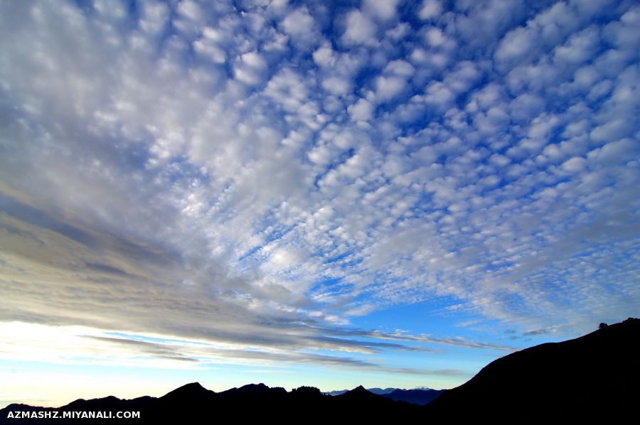 سلام دوستای گلم