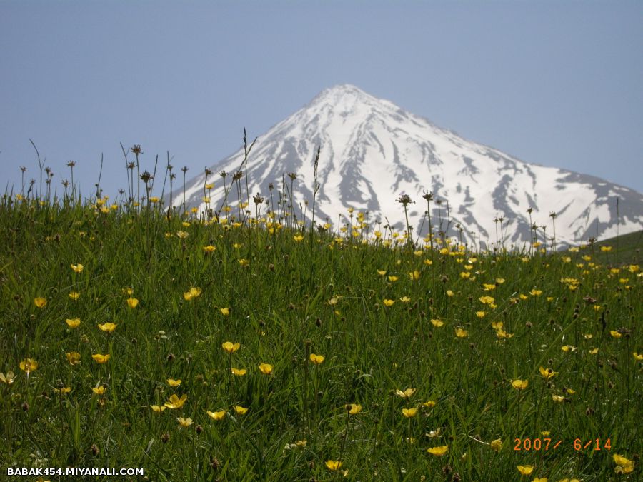 جهان زیبا