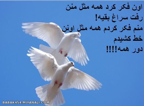 اون فکر کرد همه مثل منن...