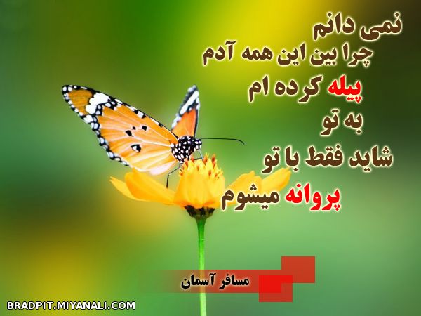 برای توووووووو