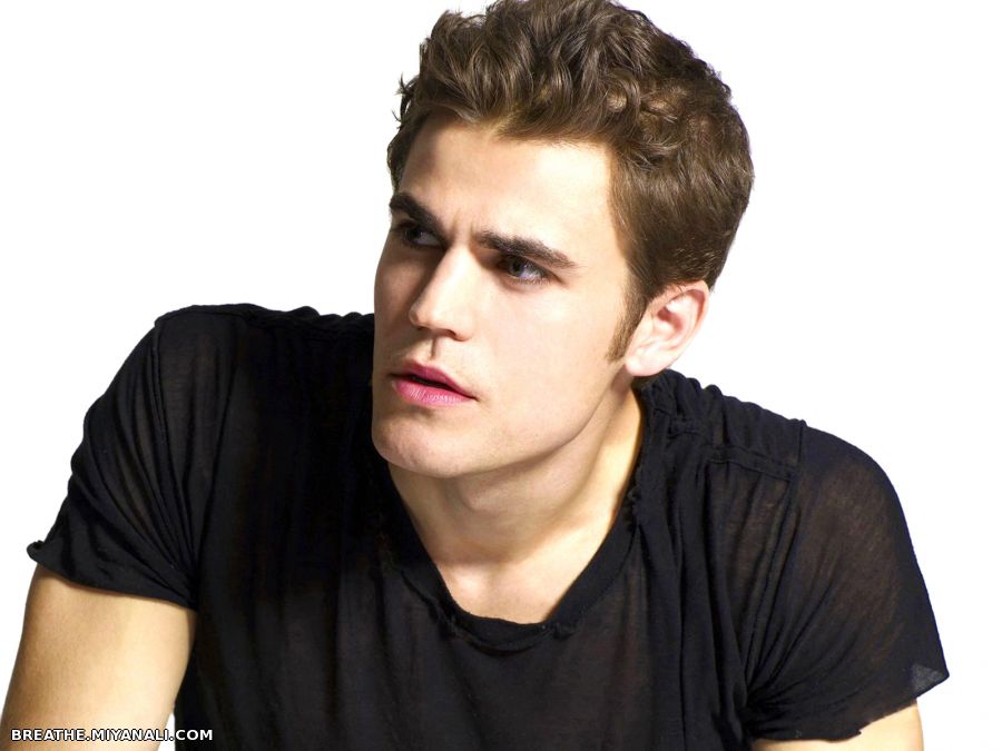 paul wesley(stefan salvatore)