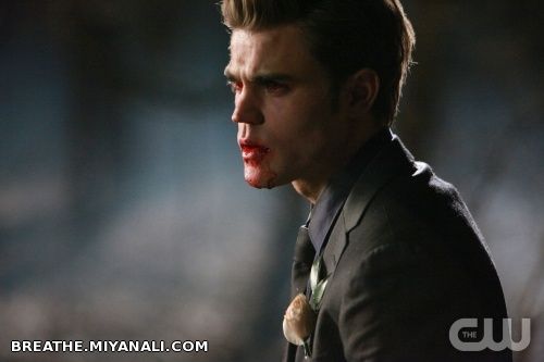 paul wesley(stefan salvatore)